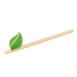 250 pailles 20cm, coloris Translucide - 100% BIO-SOURCE
