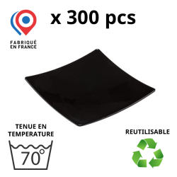 300 ASSIETTES SNACKING 10x10cm - coloris noir