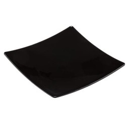 300 ASSIETTES SNACKING 10x10cm - coloris noir