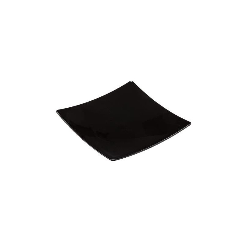 300 ASSIETTES SNACKING 10x10cm - coloris noir