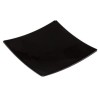300 ASSIETTES SNACKING 10x10cm - coloris noir